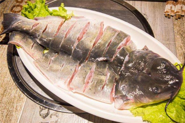 清江魚和鯰魚的區別 清江魚和鯰魚哪個好吃