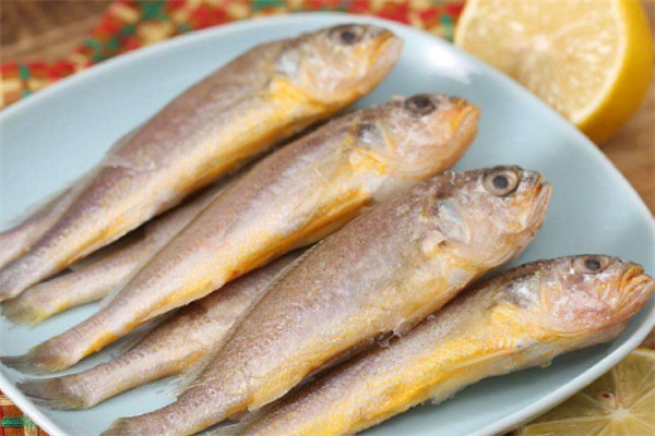 常吃黃魚有什么好處 黃魚屬于發物嗎