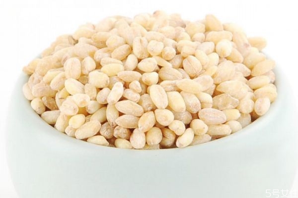 麥仁有什么營養價值呢 吃麥仁有什么好處呢