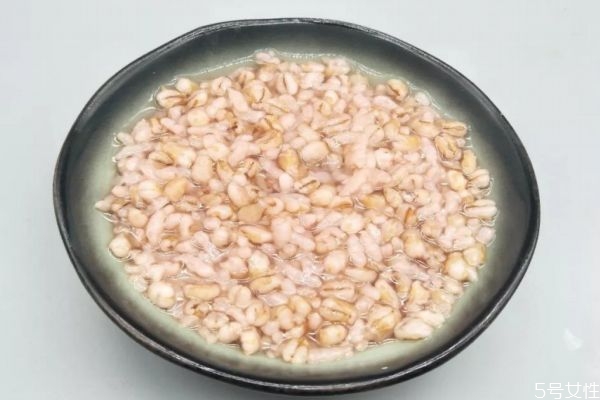 麥仁粥怎么做好喝呢 麥仁粥有什么營養價值呢