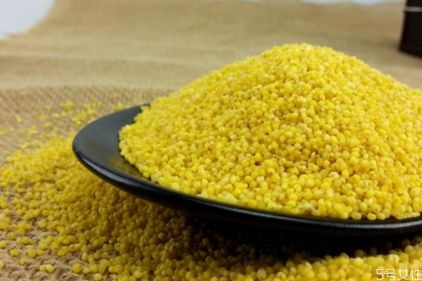 什么是粟米呢 粟米有什么營養價值呢