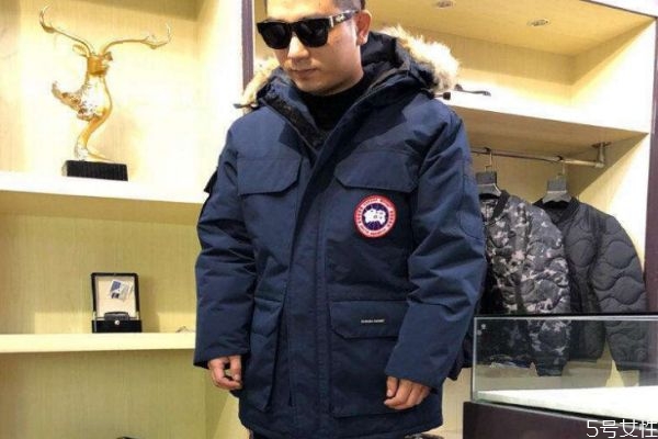 鵝絨絲和鵝絨的差別是什么 白鴨絨和白鵝絨的區別
