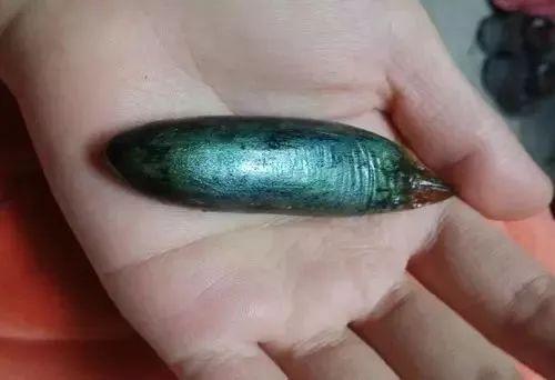 魚膽有毒嗎 魚膽中毒的表現