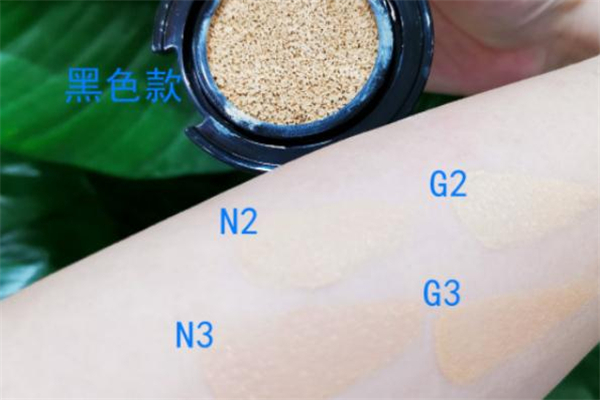 資生堂氣墊適合油皮嗎 資生堂氣墊n2和g2的區別