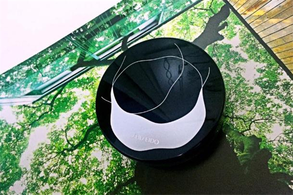 資生堂氣墊適合油皮嗎 資生堂氣墊n2和g2的區別