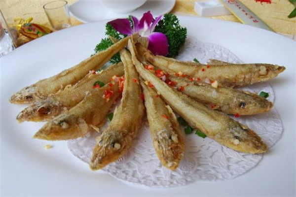 沙丁魚是海魚嗎 沙丁魚是發物嗎