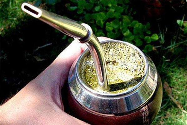 馬黛茶是什么茶 馬黛茶是哪個國家特產
