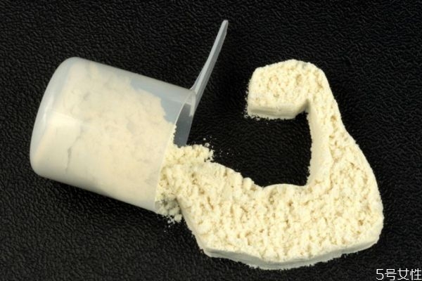 蛋白粉吃多了會胖嗎 長胖和吃蛋白粉有關(guān)系嗎