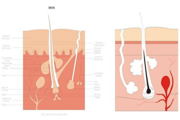 糾結身體乳哪個牌子好？從功效下手才穩