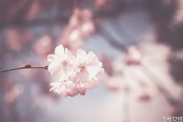 男人鐵心離婚心理分析表現 男人鐵心離婚挽回的技巧