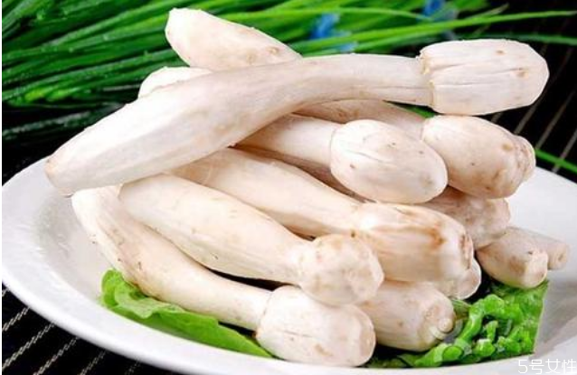 雞腿菇沒炒熟吃了會中毒嗎 雞腿菇沒熟會怎樣