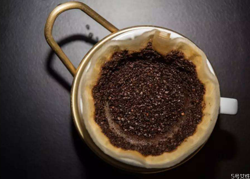 咖啡渣怎么做肥料 咖啡渣可以養什么花