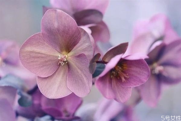 婚外情男人越絕情越說明 男人結束婚外情的手段