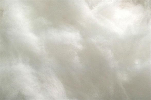 棉服和羽絨服哪個比較好?棉服和羽絨服優缺點對比