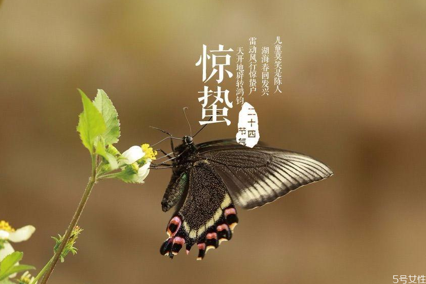 驚蟄如何養生 驚蟄養生重點是什么