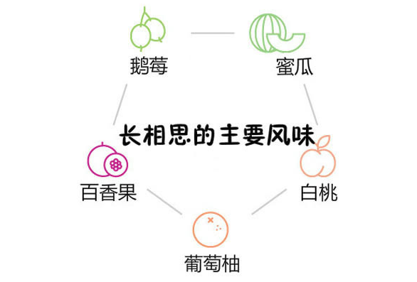 霞多麗和雷司令的區別 霞多麗和長相思的區別