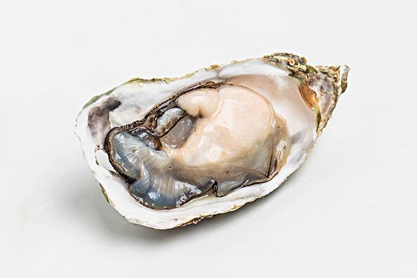 生蠔什么季節最肥最好吃 生蠔什么時間段吃最佳