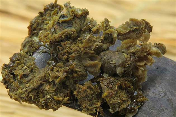 蜂膠和蜂膠膠囊有什么區別 蜂膠和蜂膠膠囊哪個好
