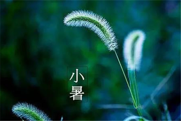 小暑怎么養生 小暑要吃什么