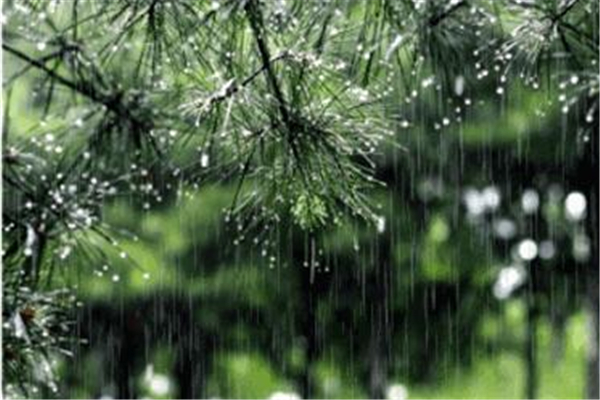 梅雨季節(jié)家里潮濕是開(kāi)窗還是關(guān)窗 梅雨季節(jié)要注意什么