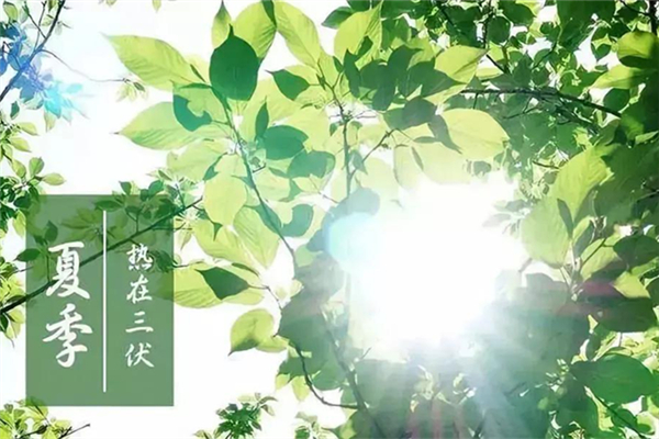 三伏天怎么排濕排寒最好 三伏天怎么調理身子