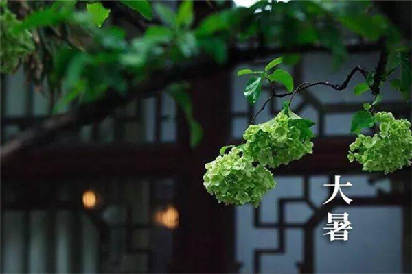 大暑吃什么食物養生 大暑吃羊肉有什么好處