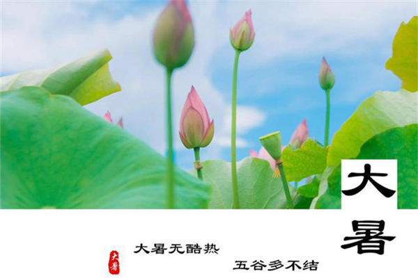 大暑的節氣含義是什么意思 大暑是什么季節