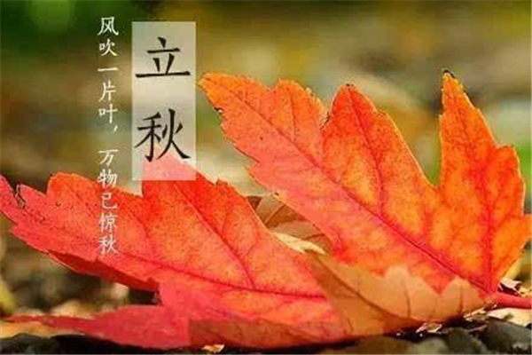 立秋需要吃西瓜嗎 立秋吃什么傳統食物