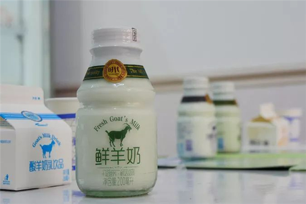 男孩喝鮮羊奶感染布魯氏菌病 鮮羊奶怎么煮能殺菌有豐富營養