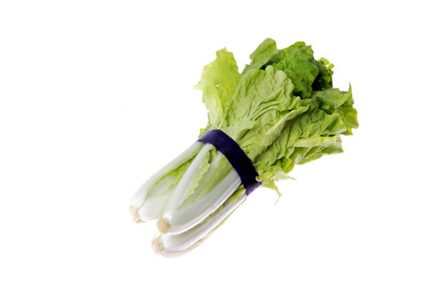 小白菜是什么季節的蔬菜 小白菜是涼性還是熱性