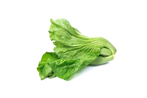 芥菜是什么季節的菜 芥菜是苦的嗎