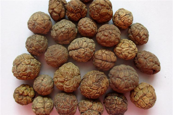 草豆蔻和白蔻豆的區別 草寇豆和白豆蔻一樣嗎