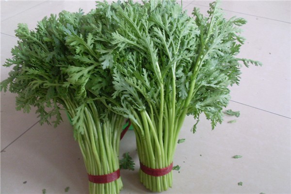 茼蒿是皇帝菜嗎 茼蒿是什么季節的