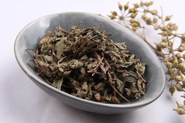 車前草的營養成分 車前草的副作用有哪些