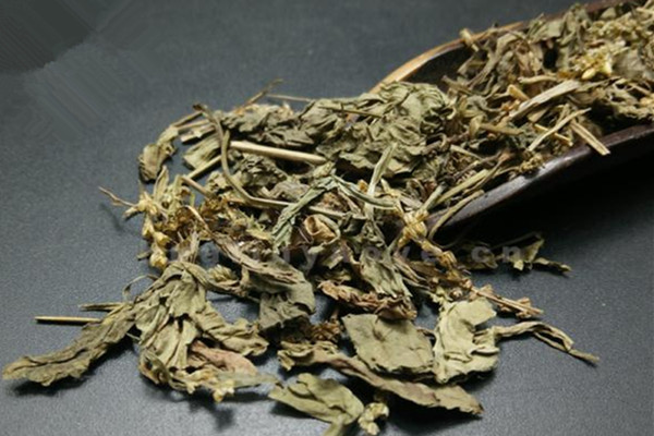 車前草的營養成分 車前草的副作用有哪些