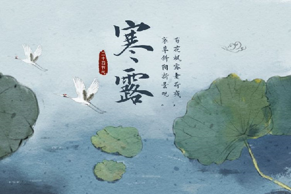 寒露的節氣的含義是什么意思 寒露的來歷和風俗