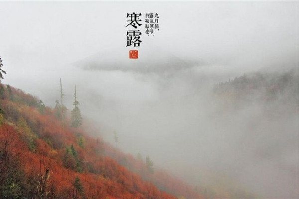 寒露有什么美食可以吃 寒露吃什么食物養生