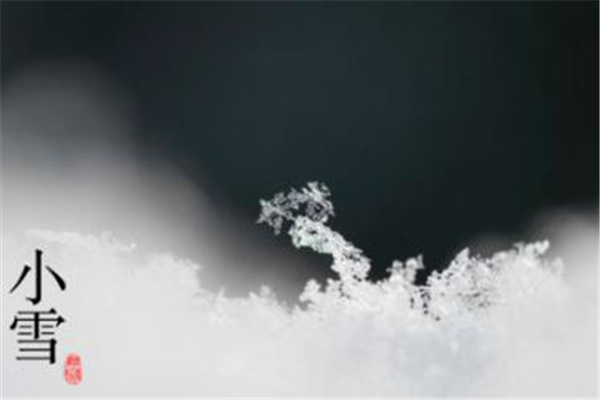 小雪吃什么食物養生 小雪吃什么蔬菜