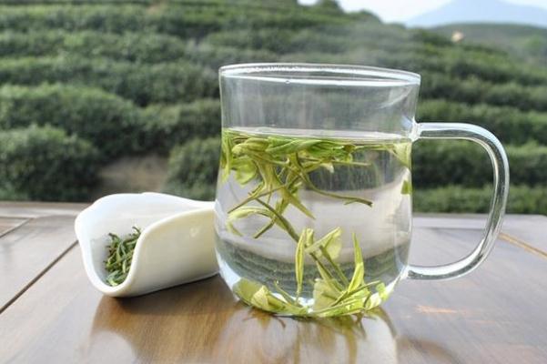 安吉白茶與福鼎白茶有什么區別 安吉白茶產地哪里