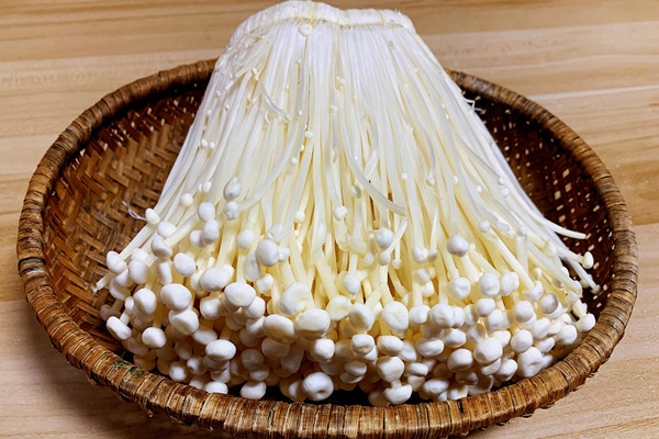 金針菇是不是菌類 金針菇屬于發物嗎