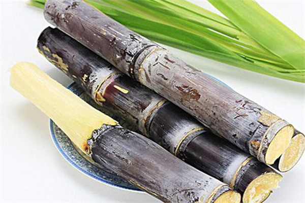 甘蔗斷面出現的紅色絲狀物代表什么 甘蔗有紅色絲還能吃嗎