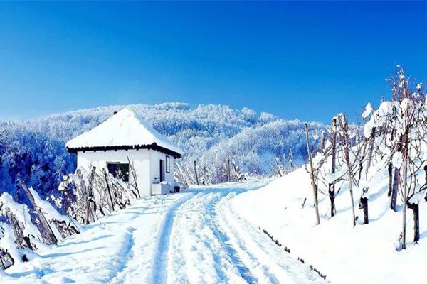 大雪節氣要吃什么 大雪節氣要做什么事情