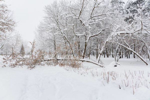 大雪節氣是一年中第幾個節氣 大雪節氣是一年中最冷的嗎