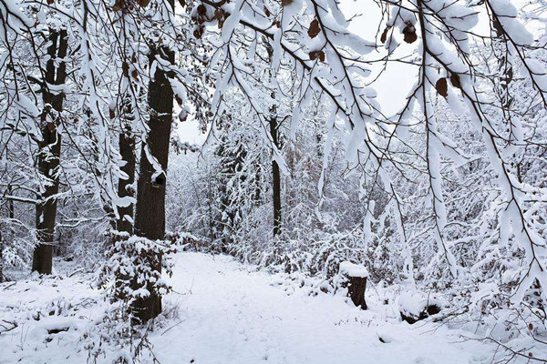 大雪節氣是一年中第幾個節氣 大雪節氣是一年中最冷的嗎