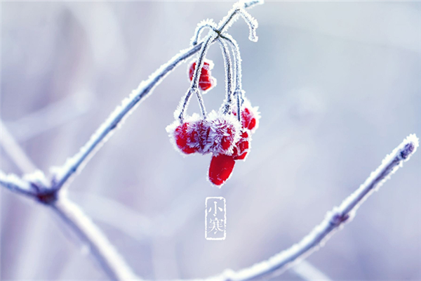 小寒的節氣含義是什么 小寒的來歷