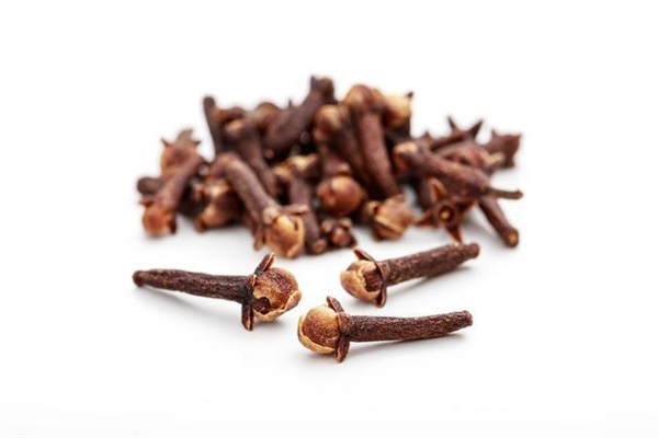 丁香是藥材還是調料 丁香是香料嗎