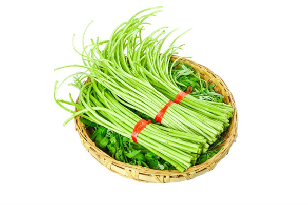 泥蒿是茼蒿嗎 泥蒿和茼蒿的區別