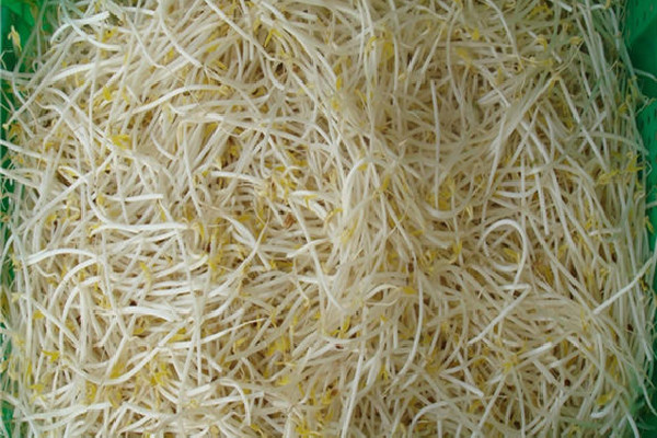 綠豆芽怎么發又快最好 綠豆芽需要幾天才能生長出來