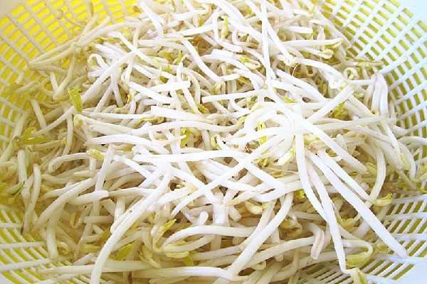 綠豆芽有點發紅能吃嗎 綠豆芽隔夜可以吃嗎