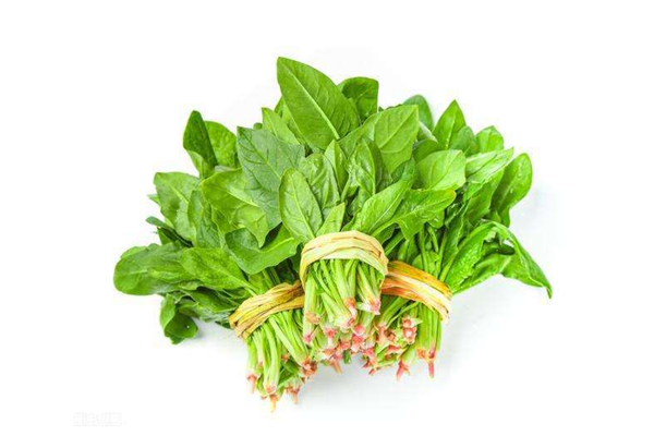 菠菜屬于涼性的嗎 菠菜是什么季節的